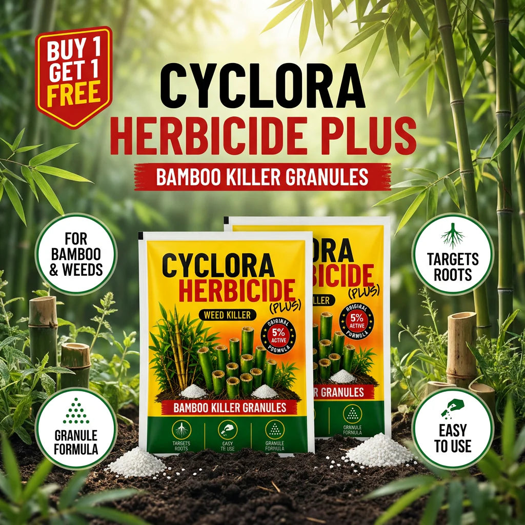 CYCLORA HERBICIDE PLUS WEED KILLER GRANULES (PACK OF 2 × 250G)